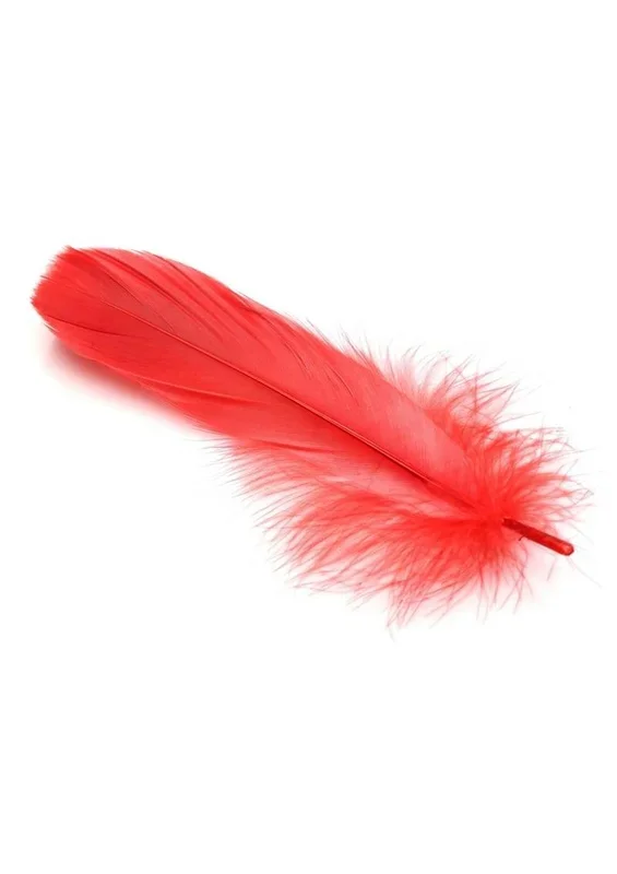 Frisky Anal Itch Relief Inc Prank Gift