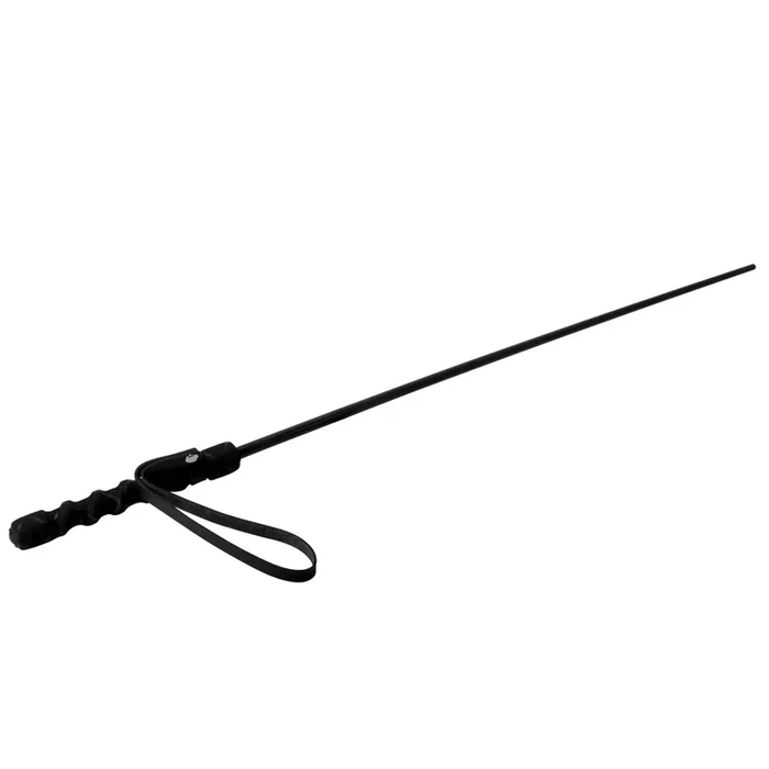 Mistress by Isabella Sinclaire Intense Impact Cane