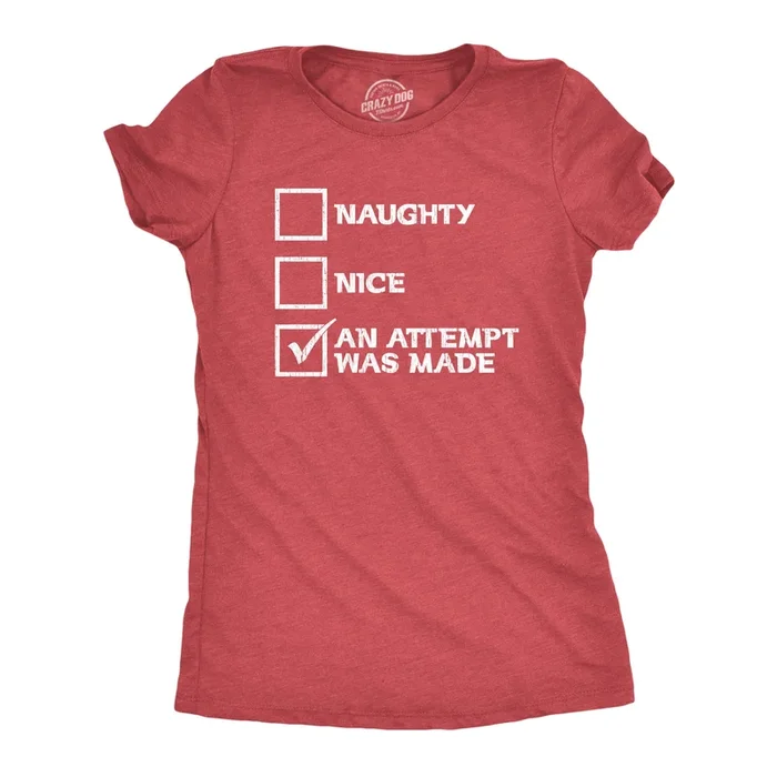 Naughty Nice An Attempt Was Made Women’s T Shirt