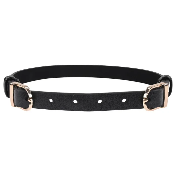 Sex & Mischief Double Buckle Faux Leather Day Collar